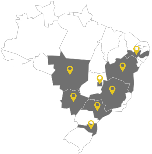 Mapa Brasil The DogFather Brasil